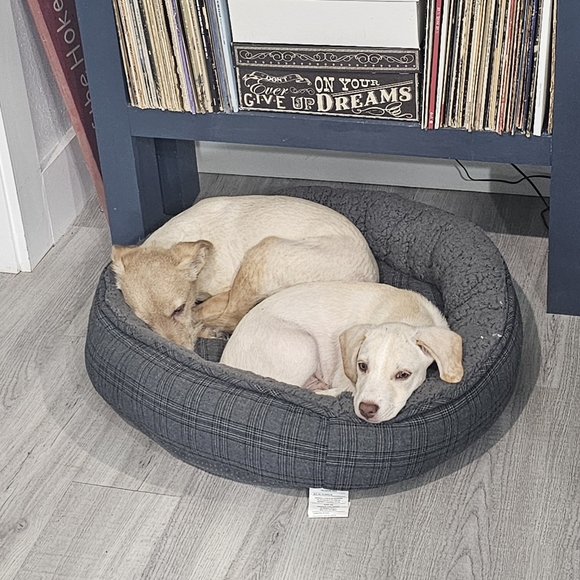 Coffee With Kelley Is Live! Like This To Be Notified When I Go On. - Picture 14 of 15